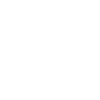 Dog riding a bicycle