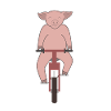 Cochon faire du vélo