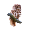 hibou