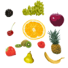 fruit
