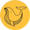whale