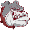 American Bulldog dog's head