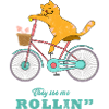 Cat Bike Rollin