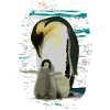 Pinguin