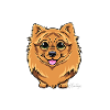 Kleinspitz Fluffy VI