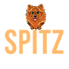 kleinspitz
