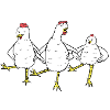 Chicken Dance