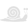 Snail with snail shell