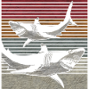 Requins