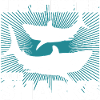 sharks