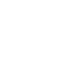 BIRD / bird