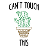 Cactus cacti