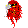 Oiseau de proie