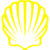 Scallop VIIb yellow