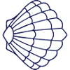 Scallop IX blue