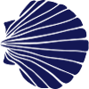 Scallop VIII blue