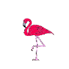 Pink flamingo