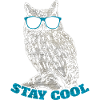 owl