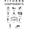 Composantes de l'éducation physique