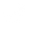 White fox