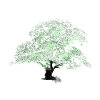 Oaktree