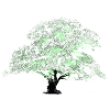 Oaktree
