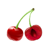Cherry Fruit Fruit Cherry Fruit