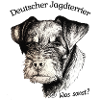 Jagdterrier - Was sonst?