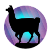 Llama alpaca