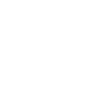 CEO