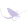 Fliegenfischen