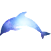 dolphin