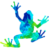 frog
