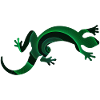 gecko
