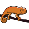 climbing chameleon