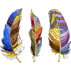 Feathers