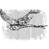 oiseau