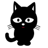 black cat