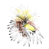 Paradiesvogel