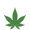 LEGALIZE IT
