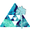 Palm leaves