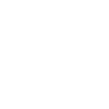 Sheep sleep