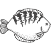 Poisson - dessiné