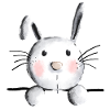 Cute bunny - bunny - rabbit - rabbit