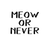 Meow kitten