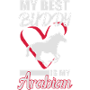 Cheval arabe disant