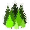trees