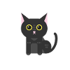 Chat noir chaton chat