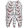 Bloody ribs