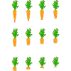 The yummy carrot